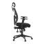 Kancelářská židle, asynchronní mechanismus, černá, KA-Q8250 BK