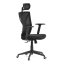 Kancelářská židle, houpací mechanismus, černá síťovina, KA-Q851 BK