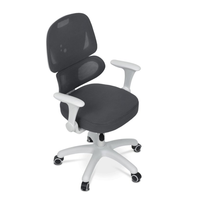 Dětská židle, výškově nastavitelná, šedá síťovina, KA-K1063 GREY