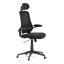Kancelářská židle, houpací mechanismus, černá síťovina, KA-Q842 BK