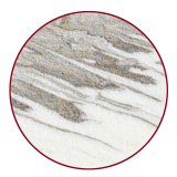 PanterFoam